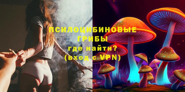 ECSTASY Алексеевка