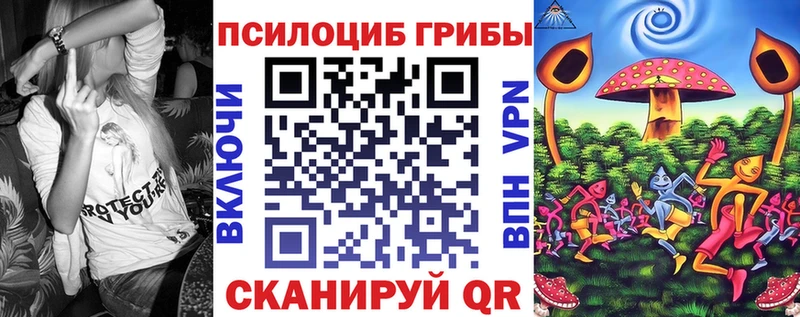 где можно купить   сайты даркнета как зайти  Псилоцибиновые грибы MAGIC MUSHROOMS  Александровское 