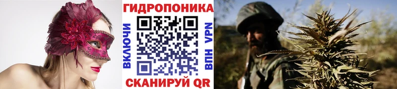 наркотики  Александровское  Конопля ГИДРОПОН 